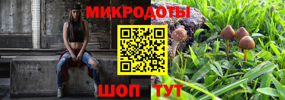 Галлюциногенные грибы GOLDEN TEACHER  Псилоцибиновые грибы GOLDEN TEACHER  Вход с VPN  Саранск 
