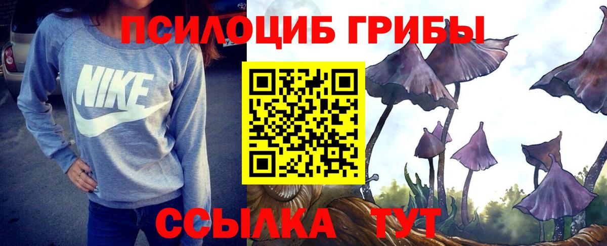 Псилоцибиновые грибы мицелий Саранск